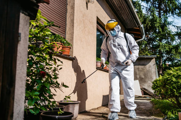 Best Best Pest Control Companies  in Spring Valley, WI
