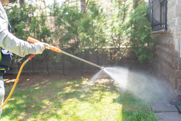 Best Spider Control Near Me  in Spring Valley, WI