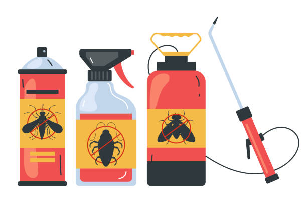 Best Insect Control  in Spring Valley, WI